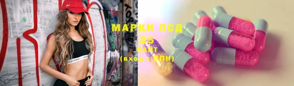 бошки Новозыбков
