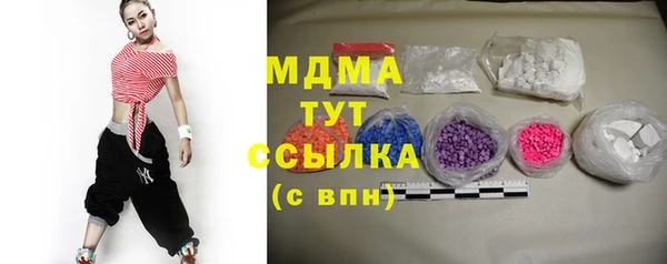 индика Нягань