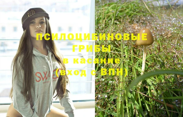 МДПВ Новокубанск