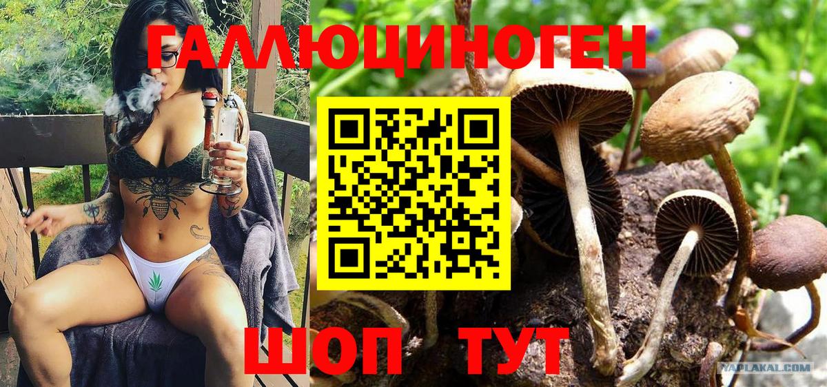 Галлюциногенные грибы Cubensis  Вход с VPN  Псилоцибиновые грибы Magic Shrooms  Курчатов 